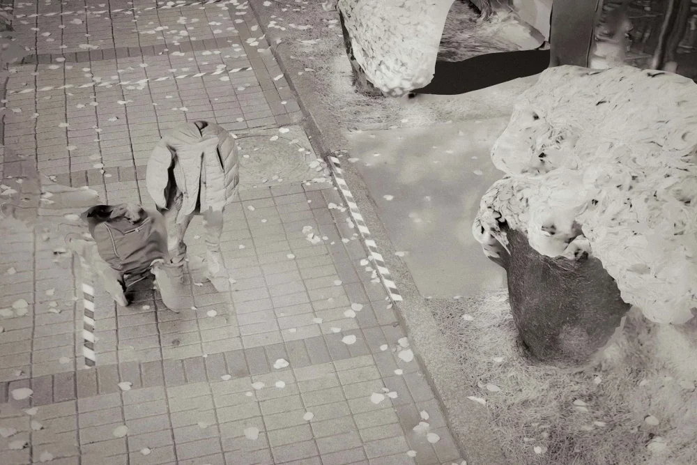 Timothy Simmons, Moscow Before the War: By the once bloody ponds (October 2021), 2023