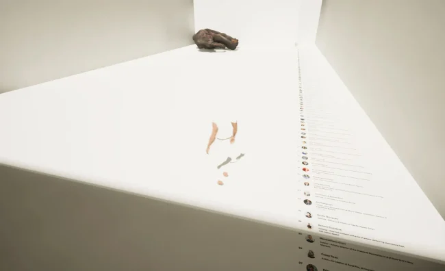 Screenshot from Art and the Mammoth in the Room, 2023