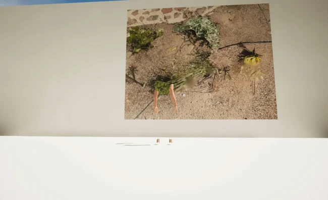 Timothy Simmons, virtual exhibition 2023 - space 5.05 - The old course landscaping