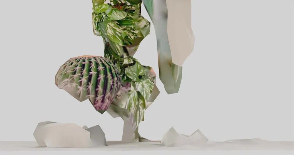 Timothy Simmons, Refined and Forever With Us: Preservation Order TJSRGC0252, 2022